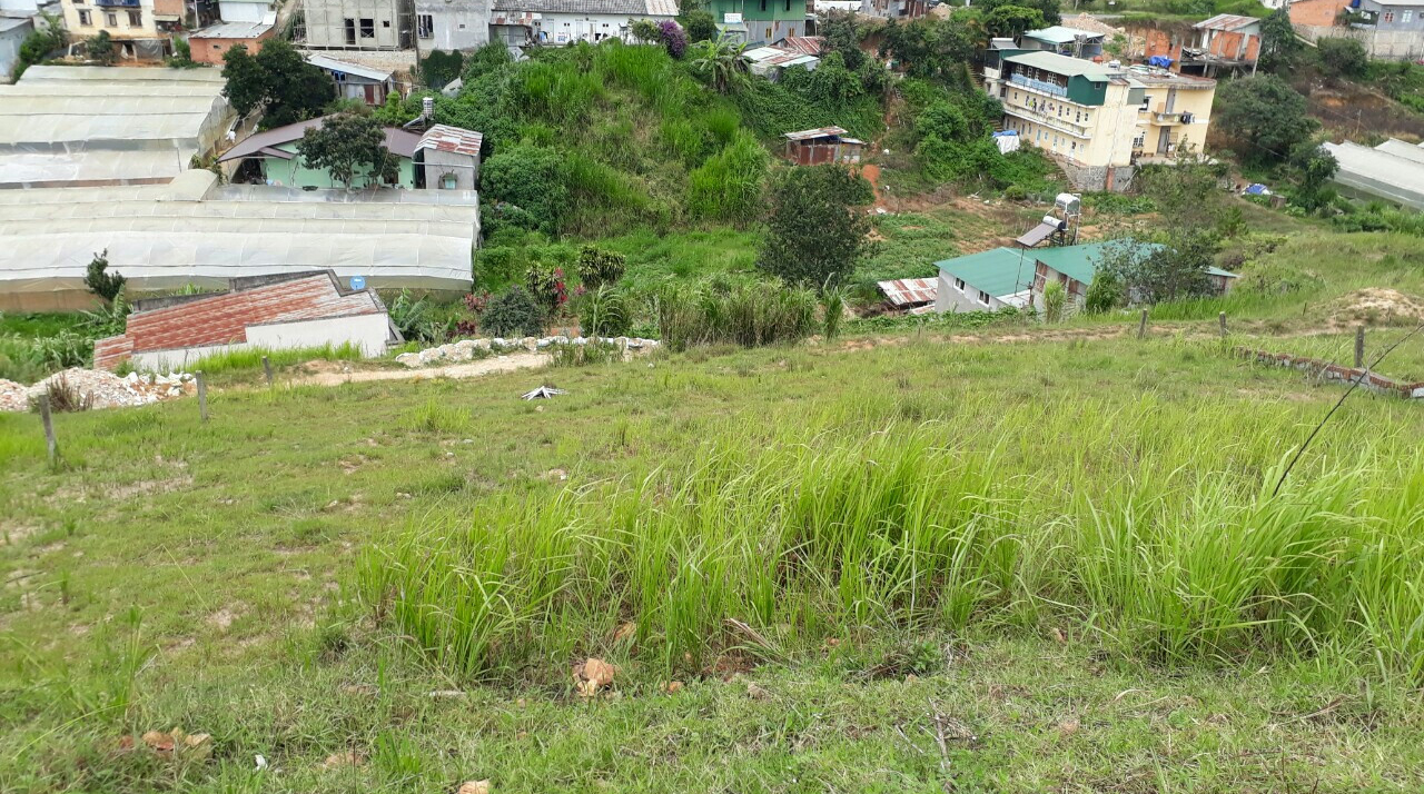 D0080 - ĐẤT ĐƯỜNG TRẦN THÁI TÔNG